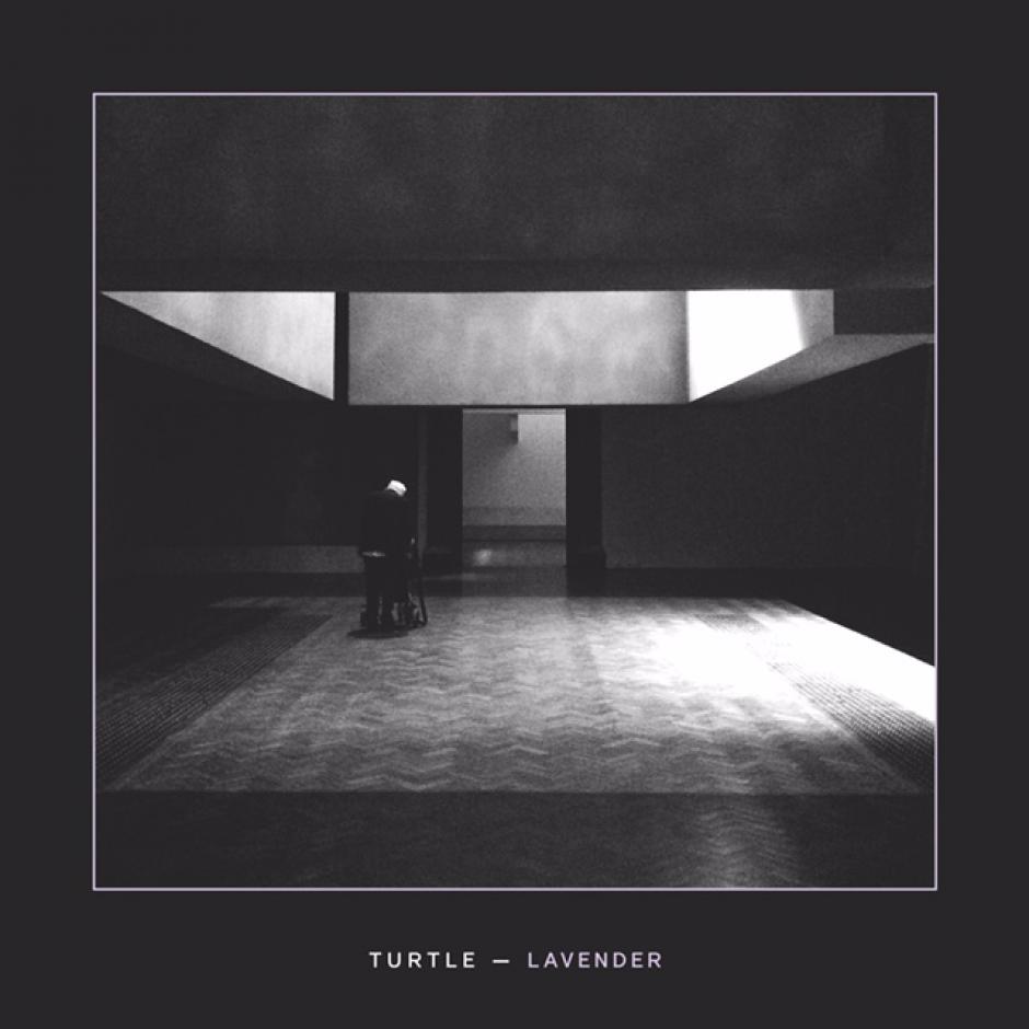 New Music: Turtle - Lavender