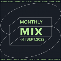 Previous article: Pile Monthly Mix: Sep '22