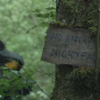 Previous article: The b*tch is back for the second trailer to Blair Witch