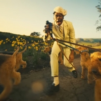 Previous article: Watch: Tyler The Creator - Dogtooth