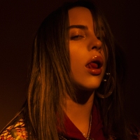 Previous article: Billie Eilish continues to tease her debut album with another twisted delight