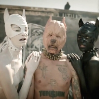 Previous article: Die Antwoord - Pitbull Terrier