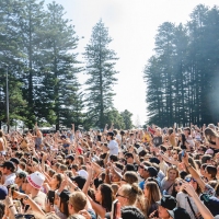Previous article: Australia's festival market is looking grim, but don't give up hope