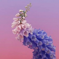 Next article: Listen to a preview of Flume's new album, Skin