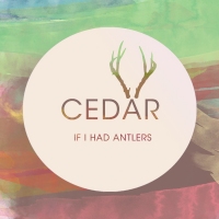 Previous article: Premiere: If I Had Antlers - Cedar