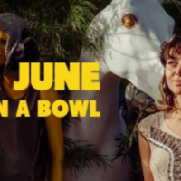 Next article: Meet: Mia June - Fish in a Bowl