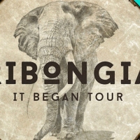 Next article: Tour: Ribongia - It Began