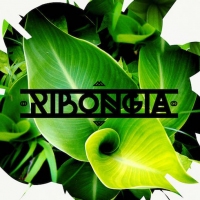 Previous article: Listen: Ribongia - Journeys