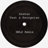 Previous article: Seekae - Test & Recognise (HWLS Remix)