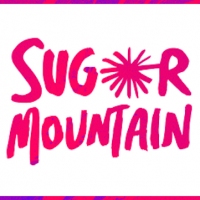 Next article: Sugar Mountain Festival 2015 Lineup