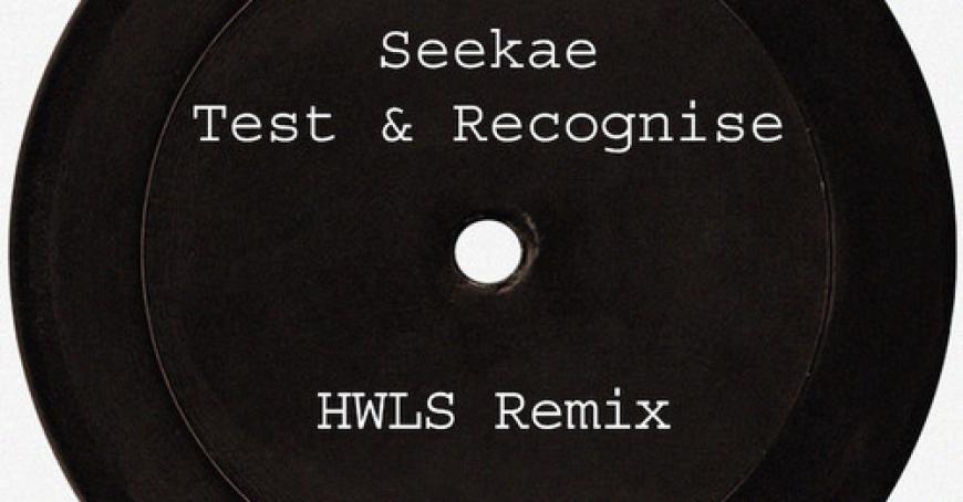 Seekae - Test & Recognise (HWLS Remix)