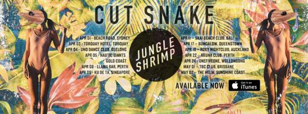 cut snake jungle shrimp tour