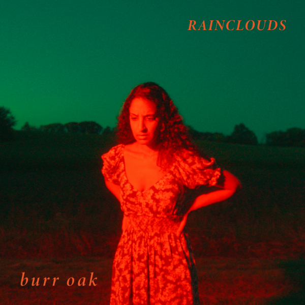 Burr Oak RAINCLOUDS artwork still taken from Ricardo Bouyett