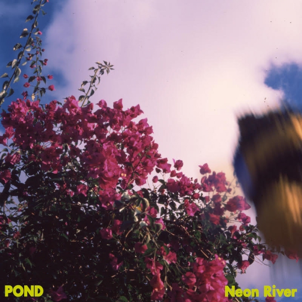 Pond Neon River