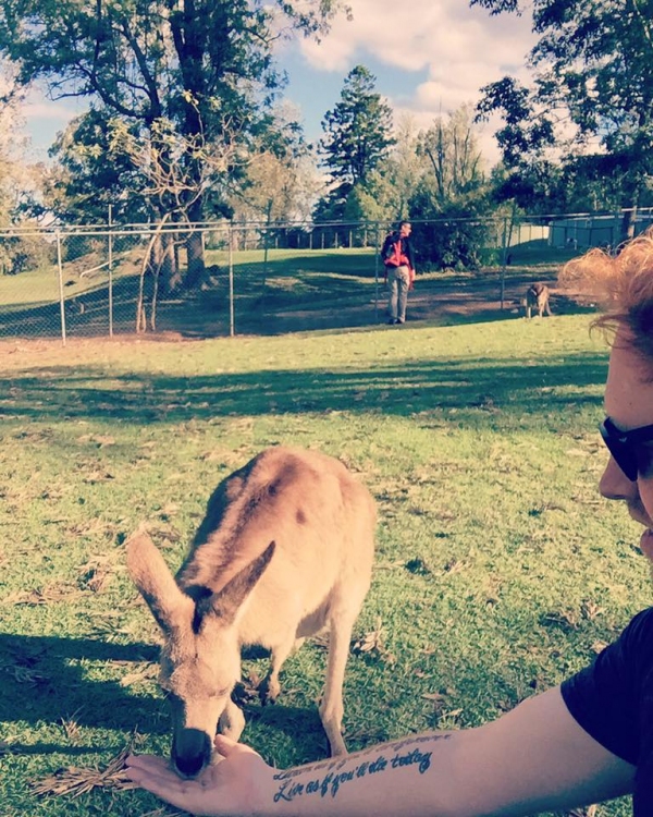 Gavin James Feeding dat Aussie Kangaroo Pilerats article image