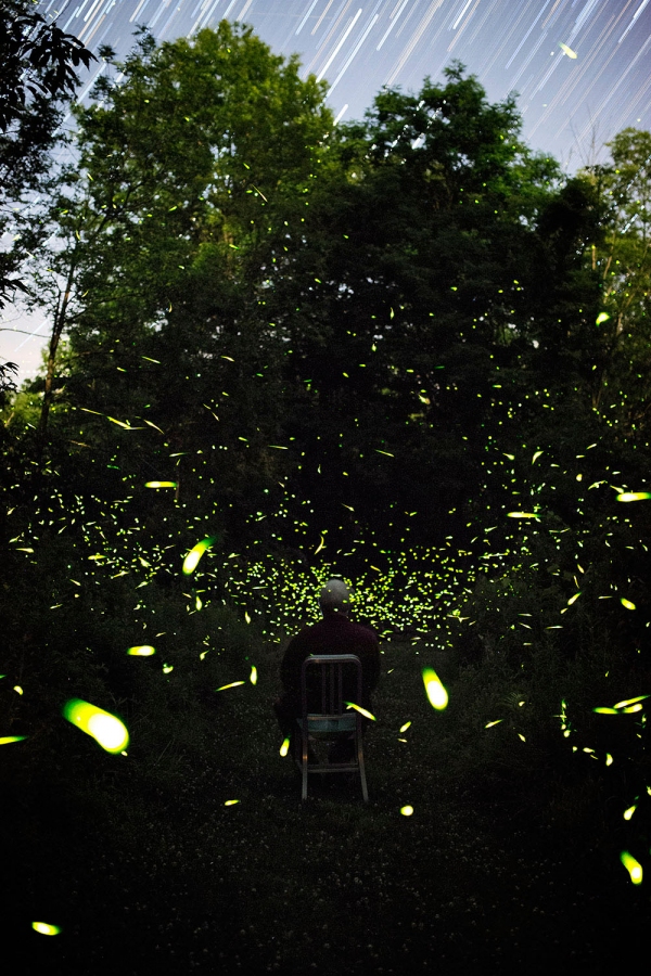 fireflies annual takeover new york damn beautiful 7