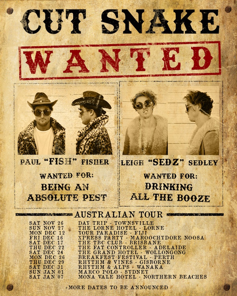 cut snake tour poster 1