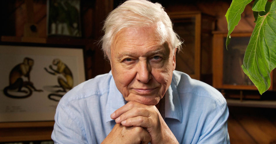 And now for some good news - Sir David Attenborough is touring Australia next year
