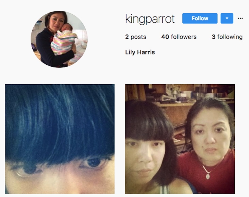 king parrot instagram 01