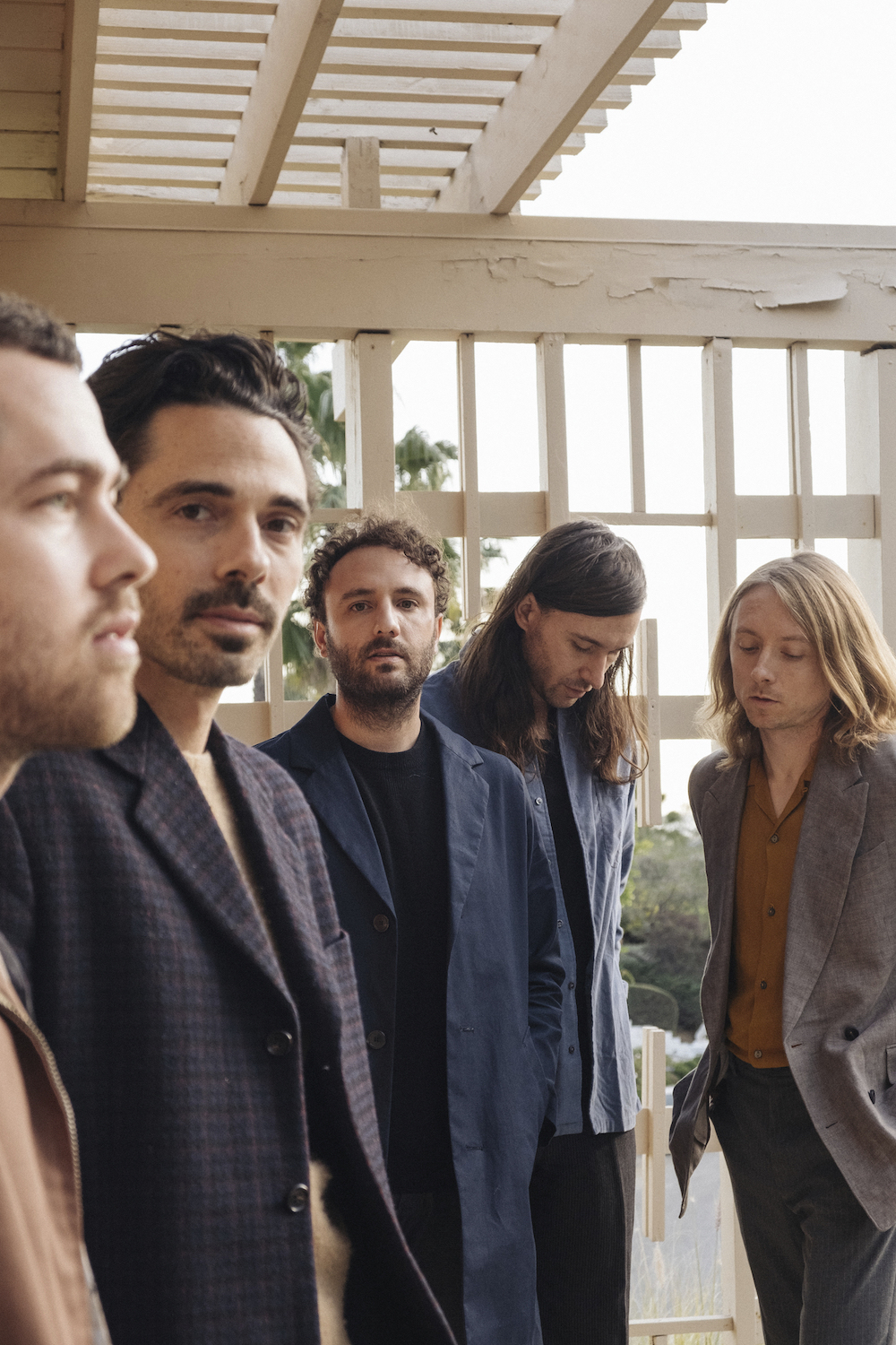 local natives in article3