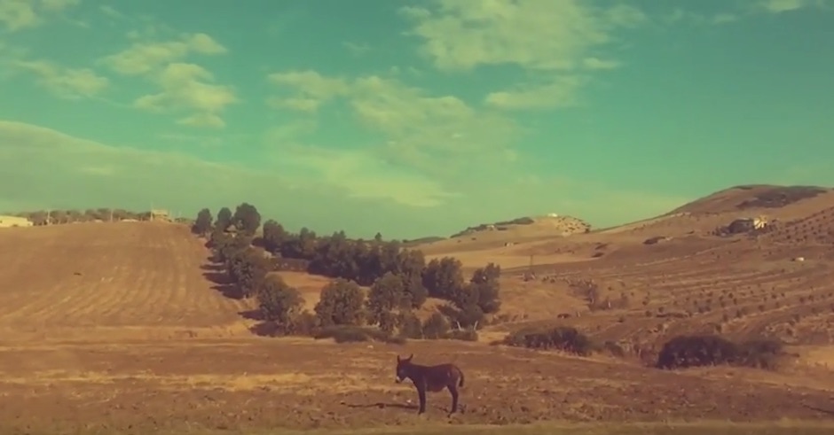Premiere: Pepa Knight documents his Morocco travels for Tame Impala cover, Eventually