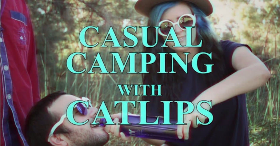 Casual Campings Tips With Catlips
