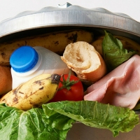 Next article: A handy guide on lessening your food waste impact