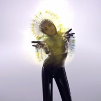 Previous article: Watch: Björk - Lionsong
