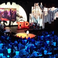 Previous article: The perfect TED Talk for every Life Situation