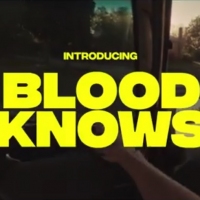 Previous article: Premiere: The Flower Drums' Leigh Craft launches dreamy new solo project, Blood Knows