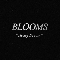 Previous article: Exclusive: Listen to Heavy Dream, the exciting new EP from Perth shoegazers BLOOMS