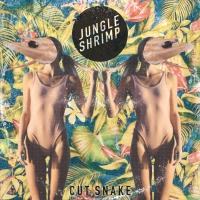 Previous article: Listen: Cut Snake - Jungle Shrimp