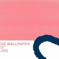 Next article: Listen: Japanese Wallpaper - Forces feat. Airling