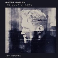 Previous article: Listen: Gavin James - The Book Of Love (JOY. Rework) [Premiere]