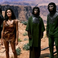 Previous article: Nature Corner: The New Age Of Apes