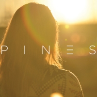 Previous article: Premiere: As winter sets in, let PINES warm you up with their new single, Calling You