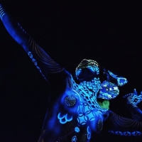 Next article: Listen to the first new PNAU single in four years, Chameleon