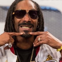 Previous article: Snoop Dogg drops three new tracks from his upcoming album, Coolaid