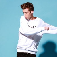 Previous article: Troye Sivan - Happy Little Pill
